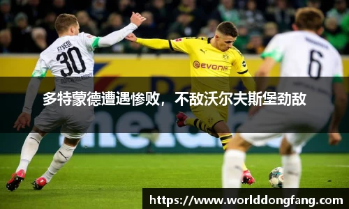 VSport体育新版本