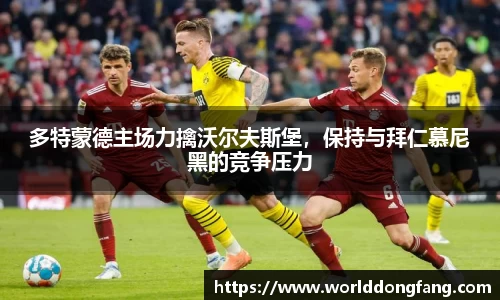 VSport体育官方网站