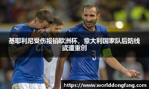 VSport体育新版本